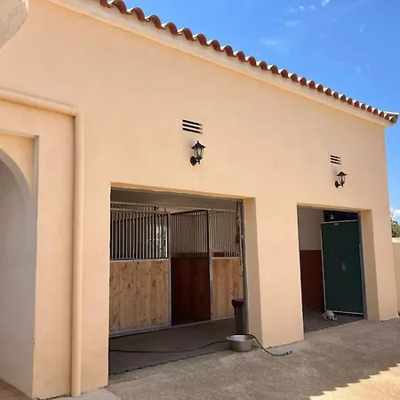 Spaanse Villa Met Zwembad Castellon de la Plana Exterior photo