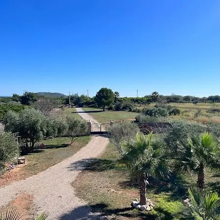 Spaanse Villa Met Zwembad Castellon de la Plana Exterior photo